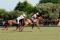 Brittany Polo Club © Clic and Com Brittany Polo Club © Clic and Com
