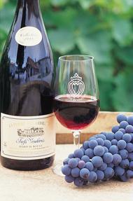 Fiefs Vendéens vineyards © M.Thiery