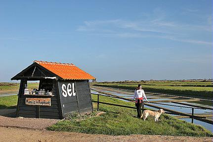 Salt marshes, Guérande © N.Souto 