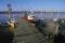 L'Aiguillon-sur-Mer © P.Baudry L'Aiguillon-sur-Mer © P.Baudry
